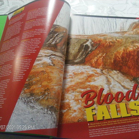 Ripley's Believe it or not 2019 Hardcover - Picture 6 of 12